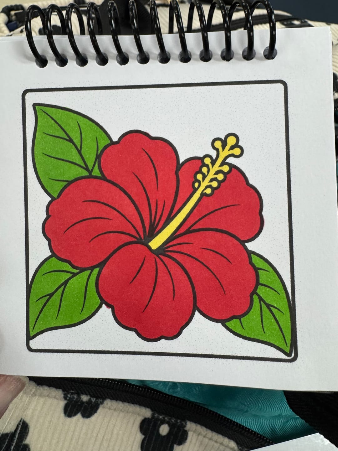 Customer photo review of Ohuhu Kaala Slim Broad and Fine Dual Tips Alcohol Art Markers - 24 Basic Colors
