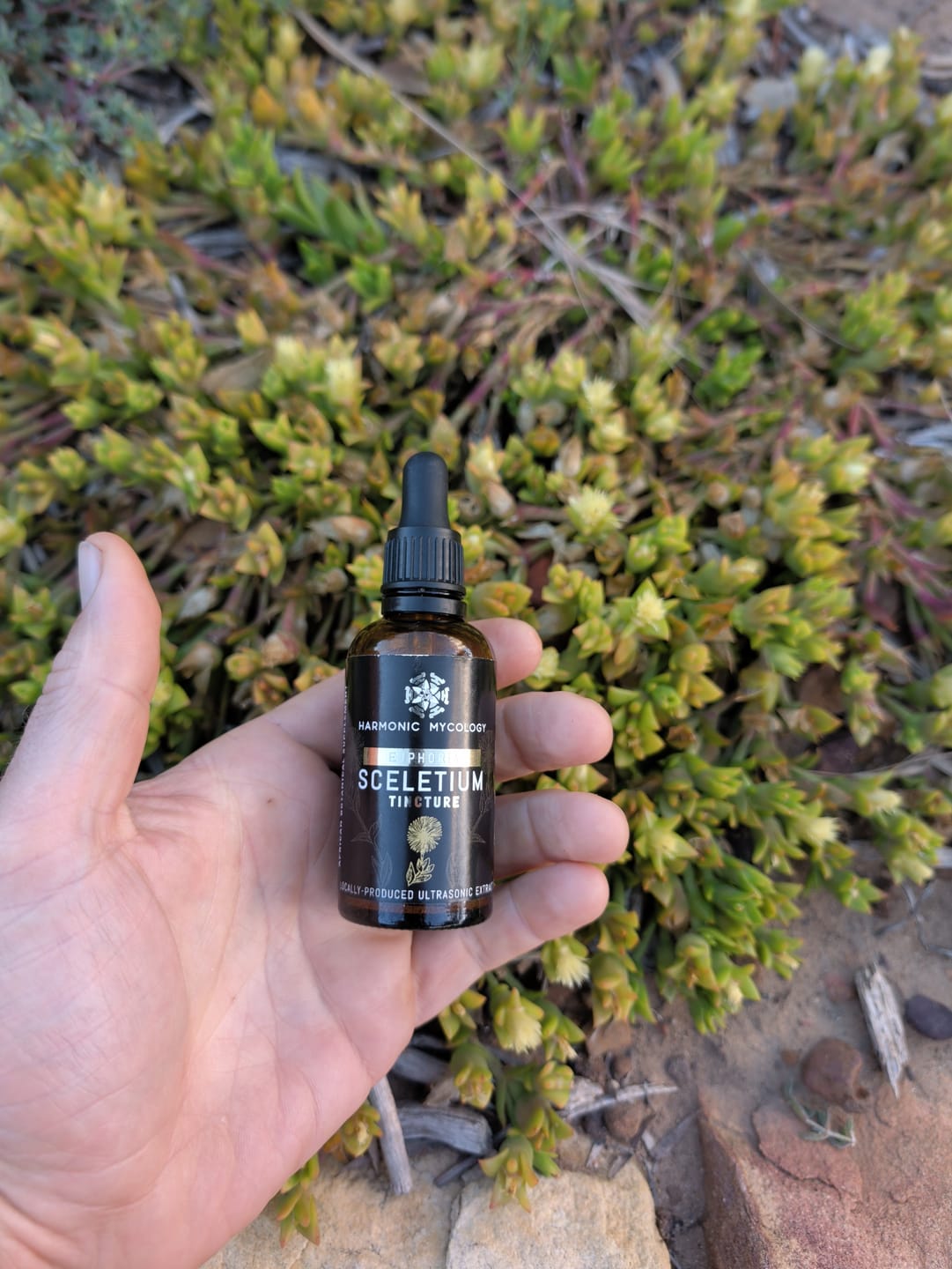 Customer photo review of Sceletium (Kanna) extract
