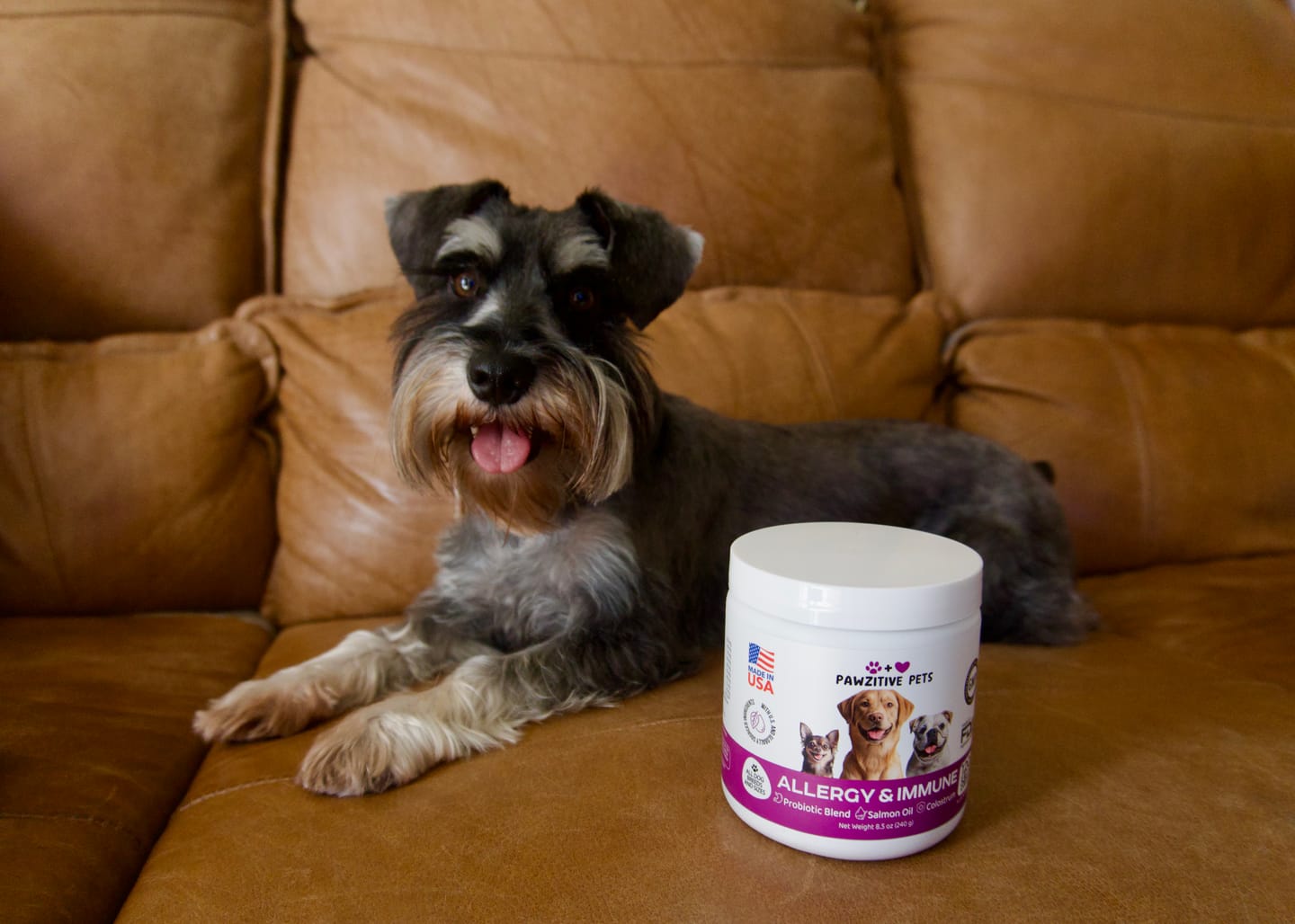 Customer photo review of Dog Allergy Chews for Itchy Skin, Paw Licking & Seasonal Allergies – Immune Support, 120 Soft Chews (Beef Flavor)