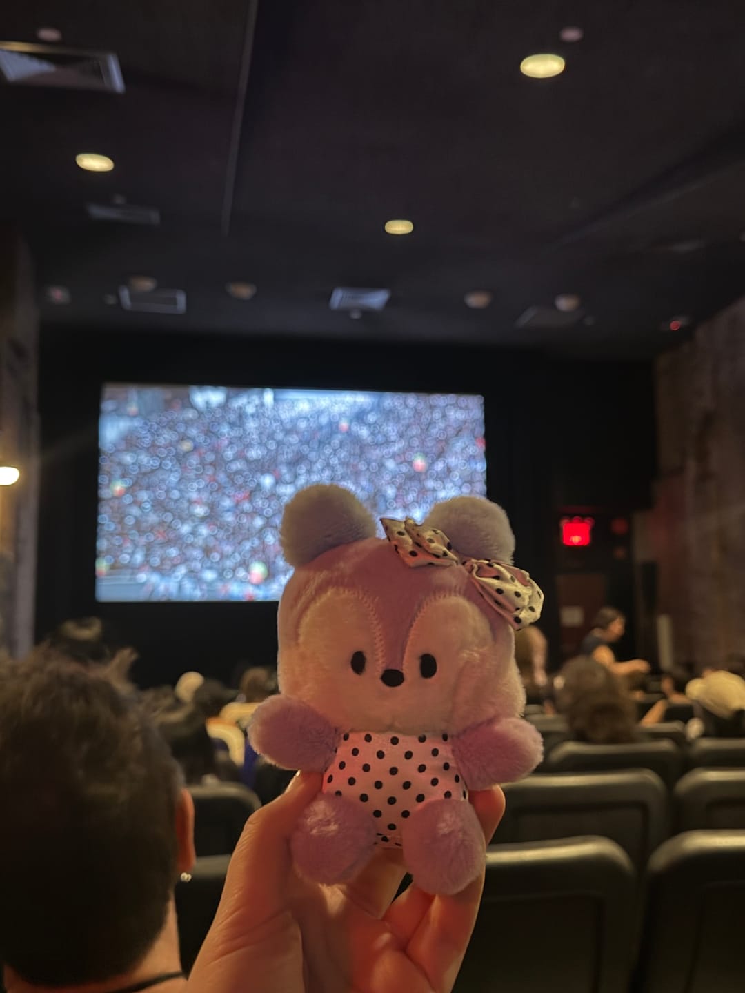 Customer photo review of BT21 - DOT RIBBON PLUSH KEYRING (MANG)