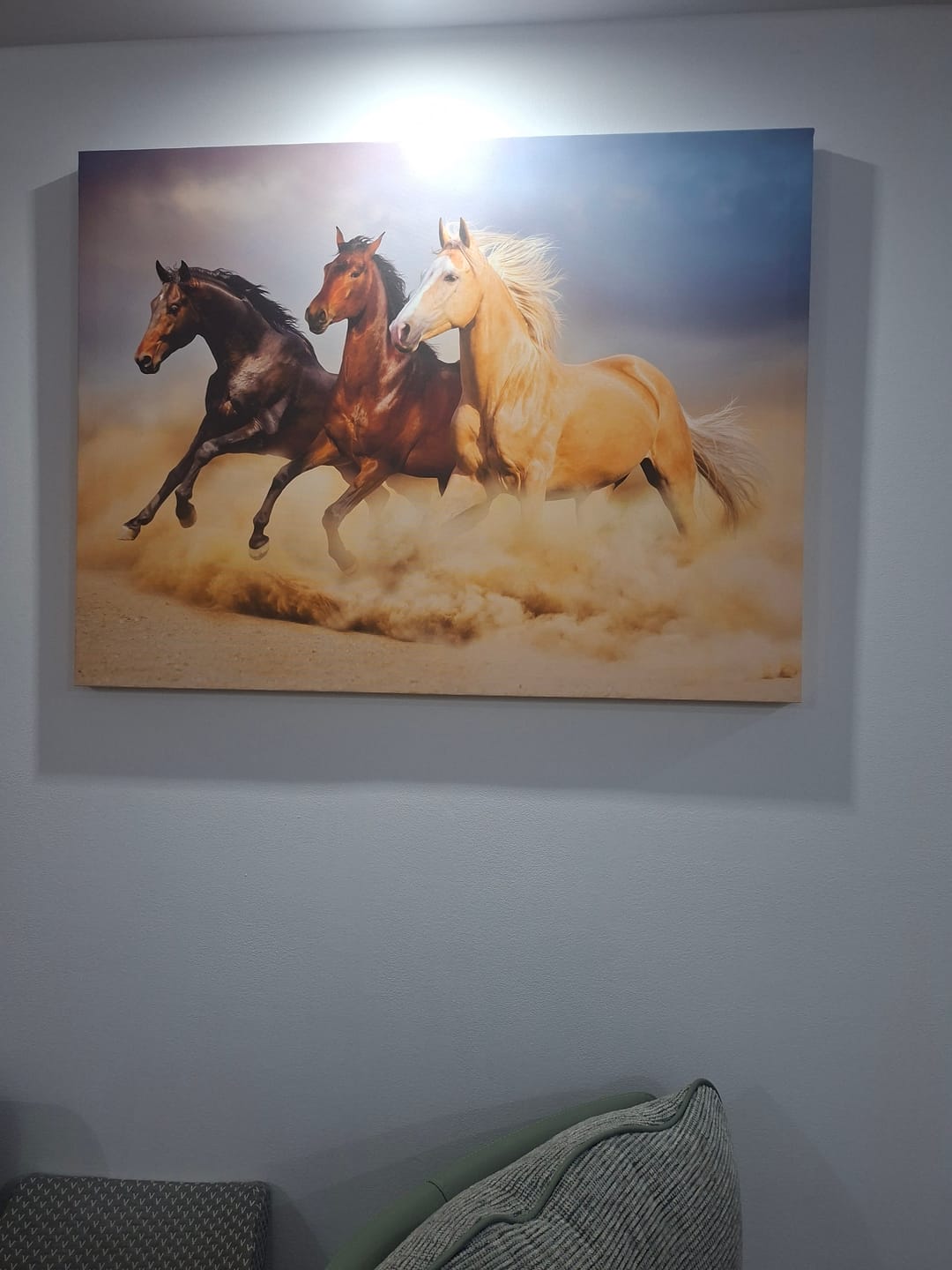 Customer photo review of Tablou cu cai salbatici in natura pentru dormitor living culori vii design interior modern  panza canvas si rama de lemn fabricat in romania