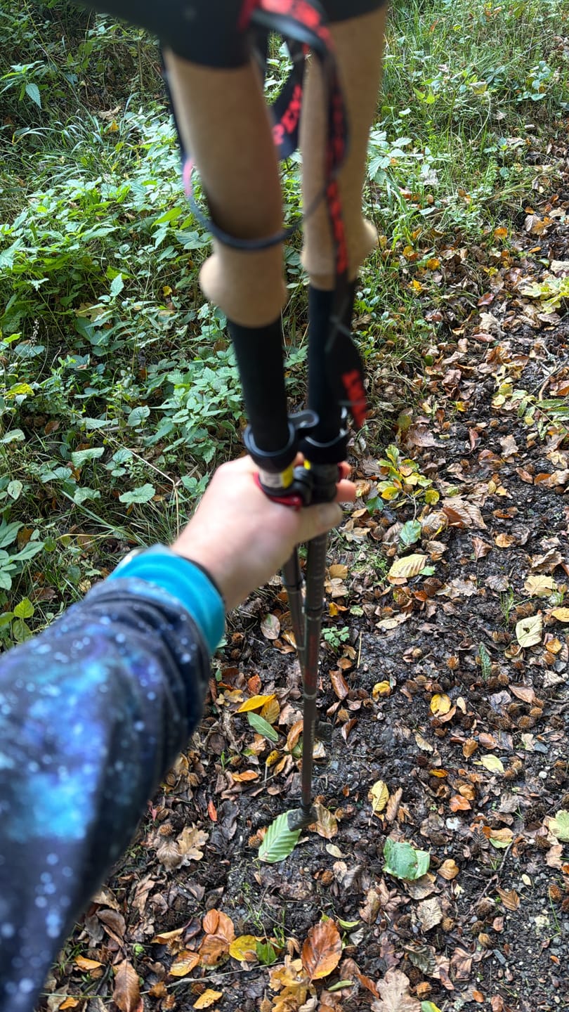 Customer photo review of Wanderstöcke Rugova Pro 3 faltbar & höhenverstellbar – Leicht & stabil