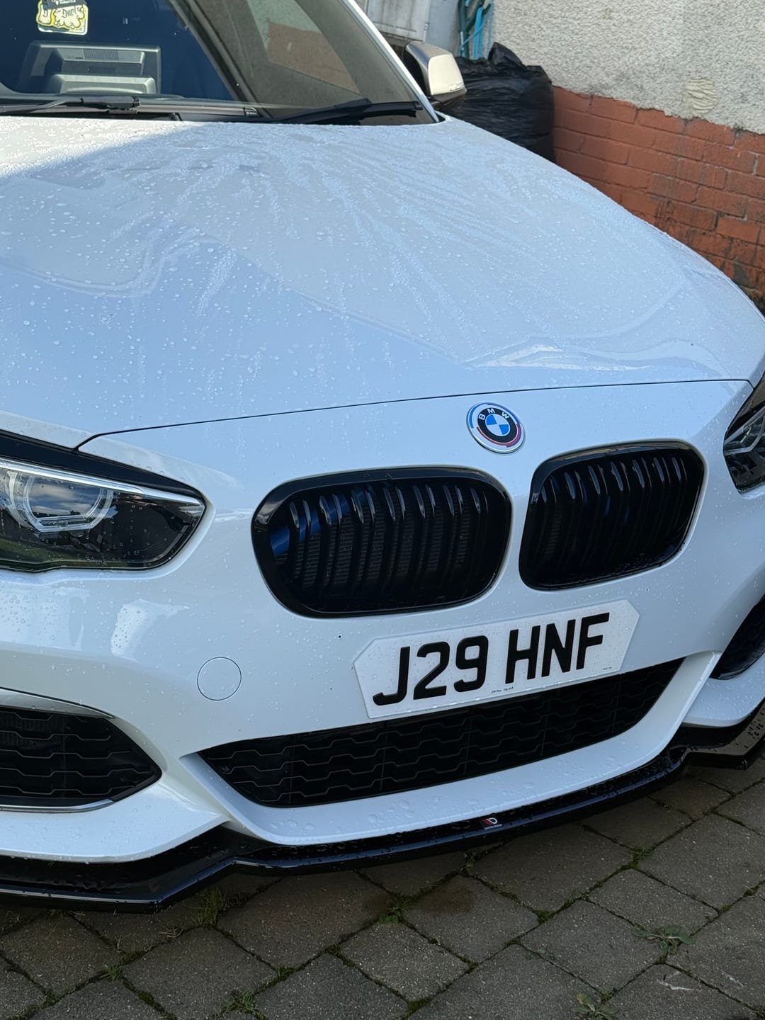 Customer photo review of 50th Anniversary Badge Set – 7 Piece Kit