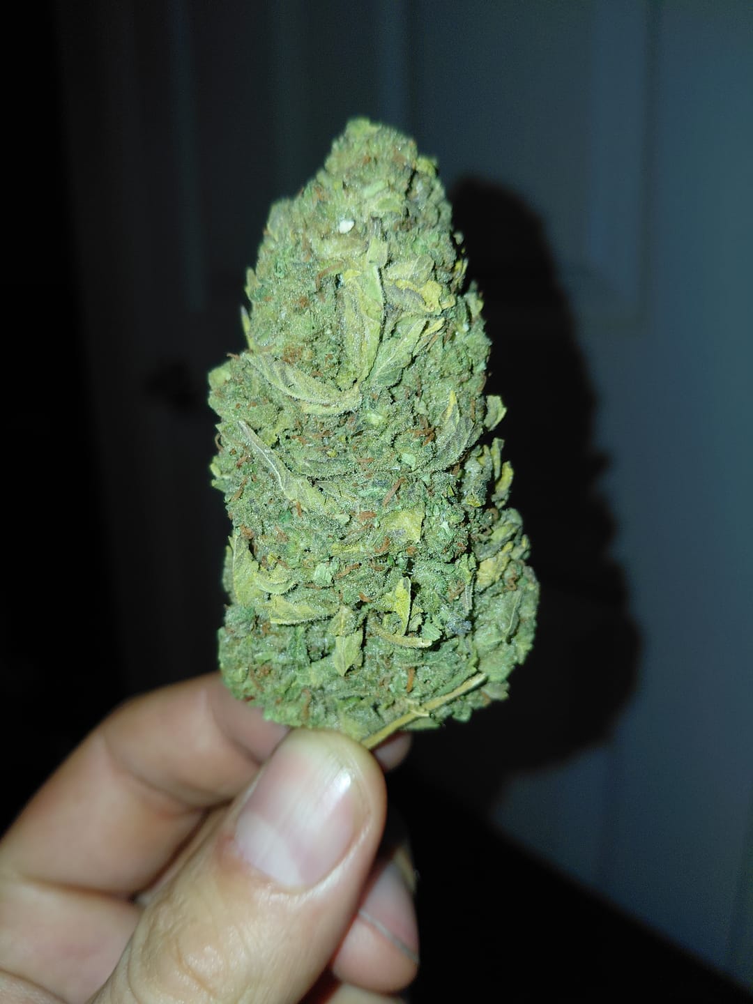 Customer photo review of THCA Queen