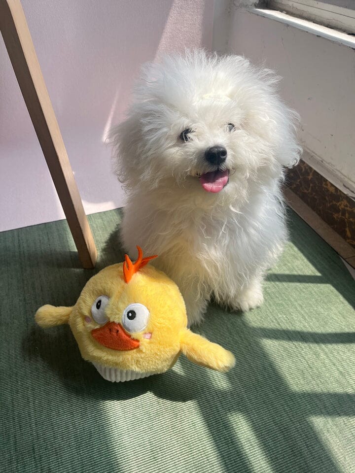 Customer photo review of Side-Eye Chick