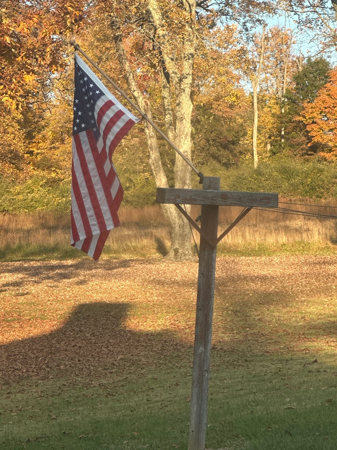 Customer photo review of 3' x 5' American Flag Set