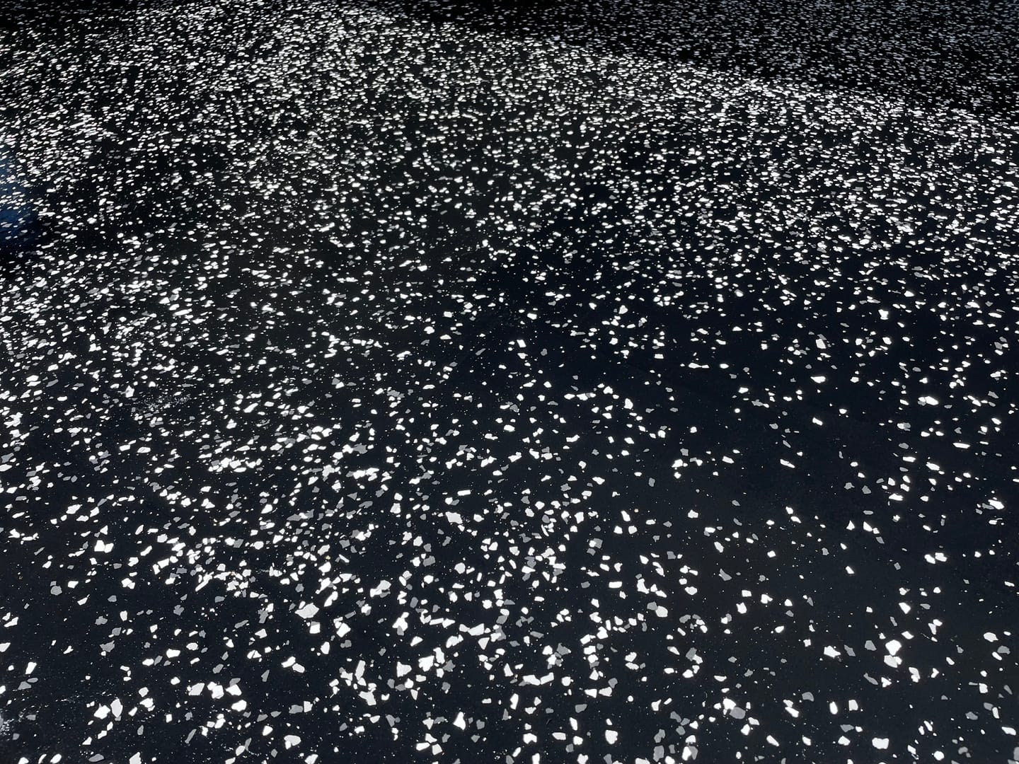 Customer photo review of Epoxy Flake Floor Kit