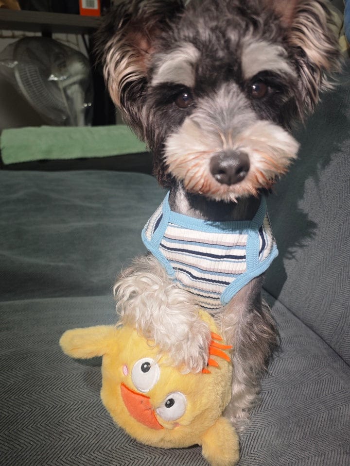 Customer photo review of Side-Eye Chick