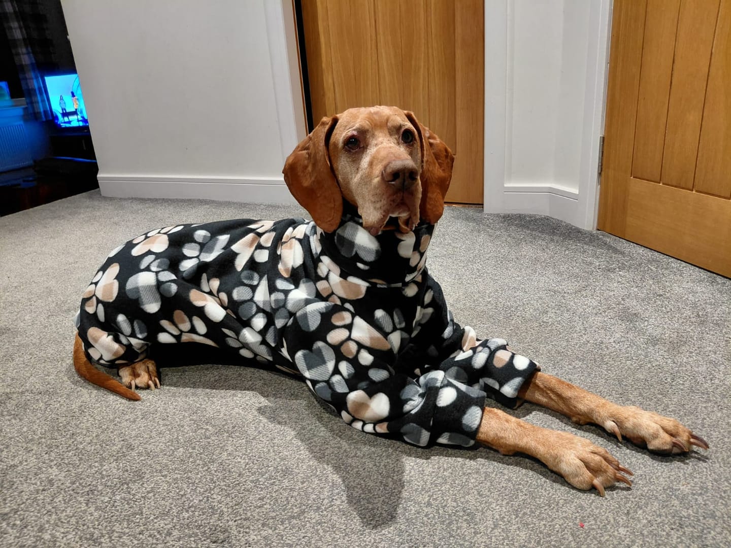 Customer photo review of Cosy Paws Anti Pill Polar Fleece Fabric