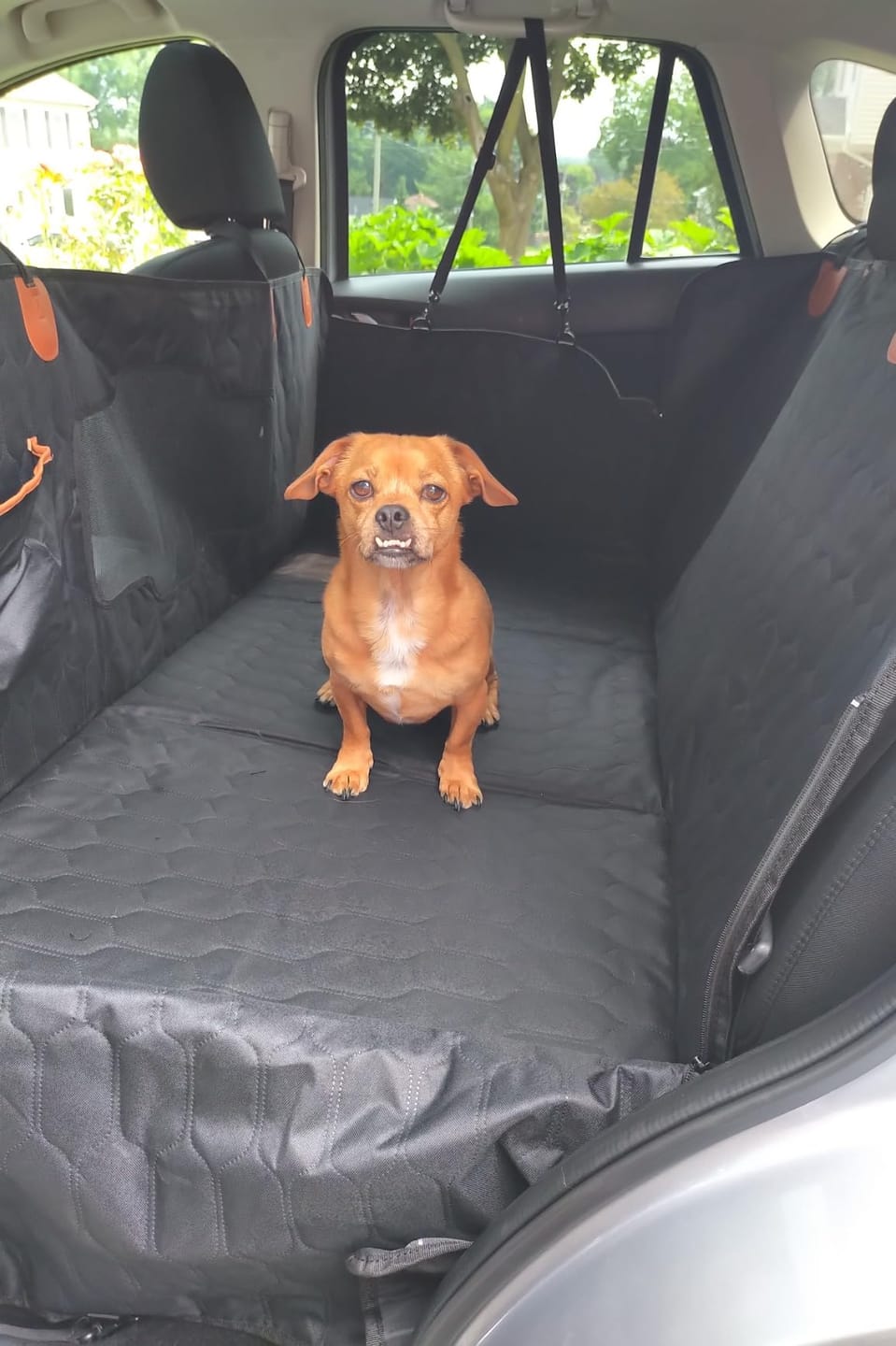 Customer photo review of Car Seat Cover & Back Seat Extender (Hard Bottom) for Dogs