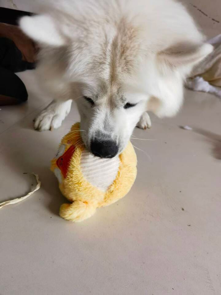 Customer photo review of Side-Eye Chick