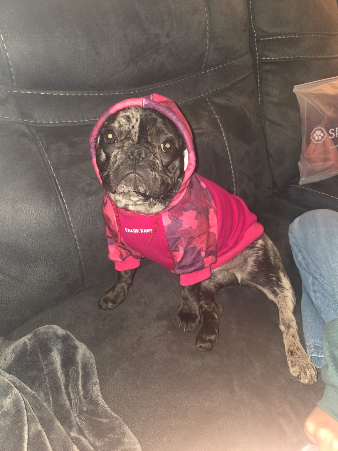 Customer photo review of Camo Dog Hoodies