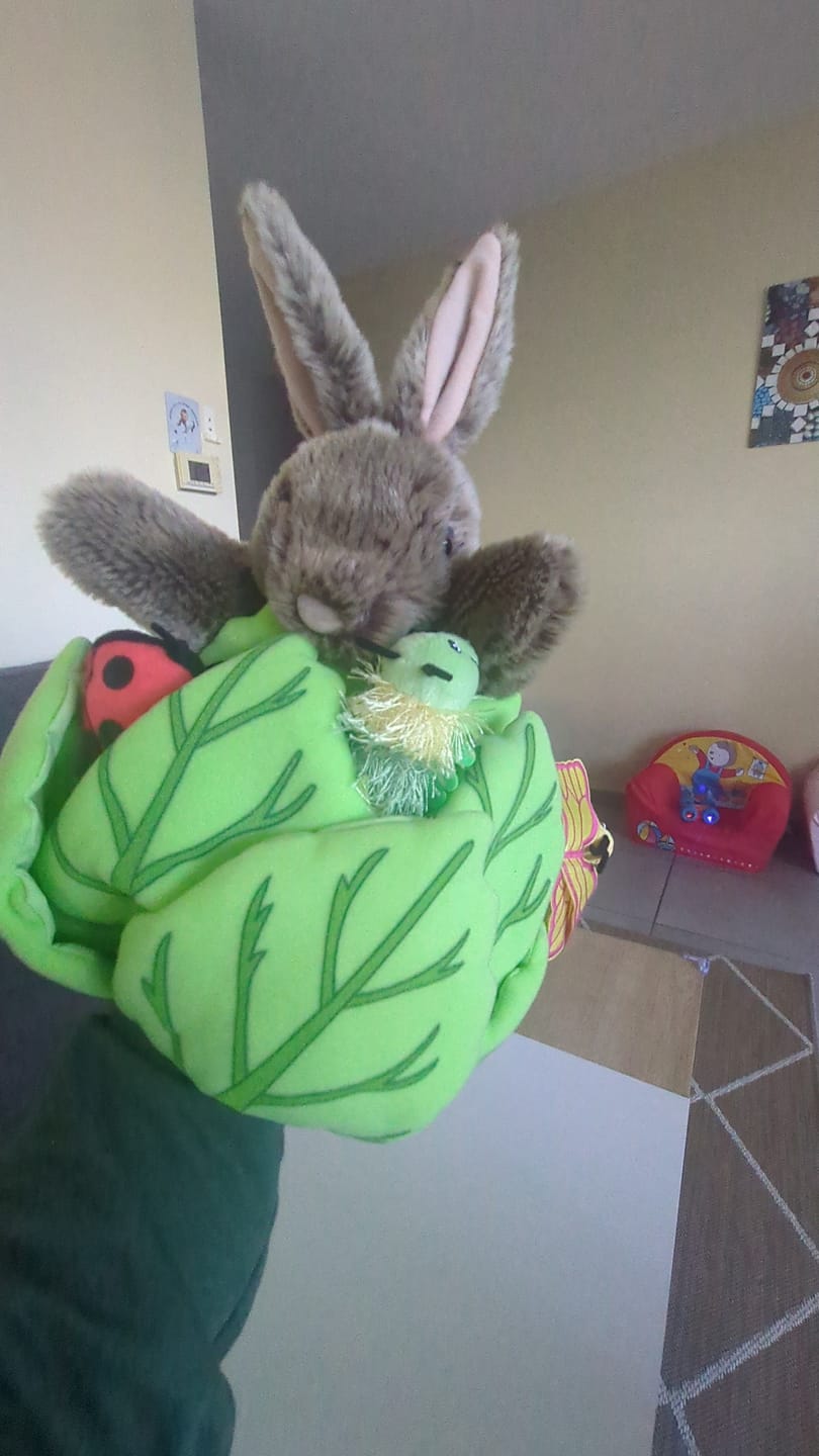 Customer photo review of Lapin dans une laitue avec 3 mini bêtes Marionnette