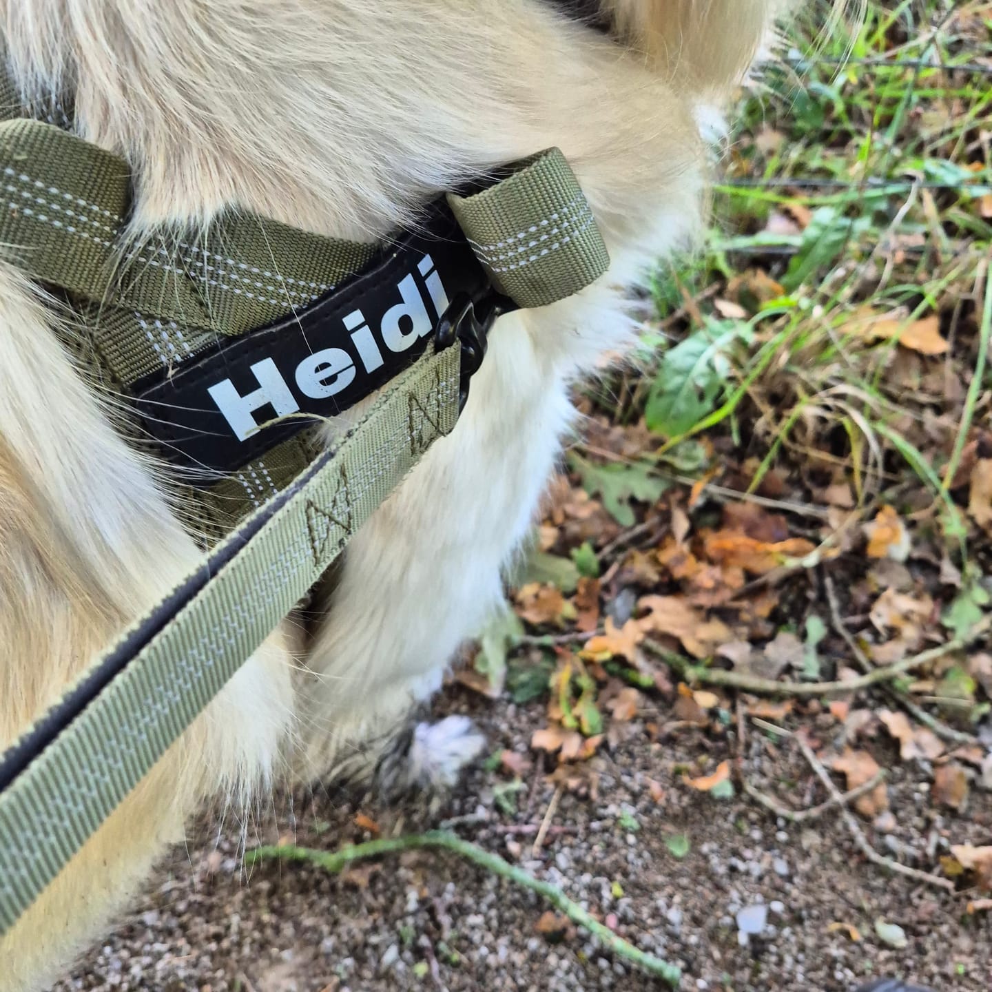 Customer photo review of Custom name patch