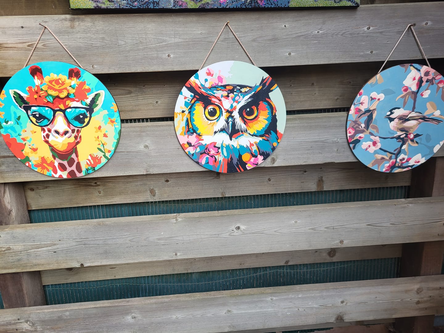 Customer photo review of Peinture par Numéro sur Disque en bois - Hibou Fantaisie et Fleurs