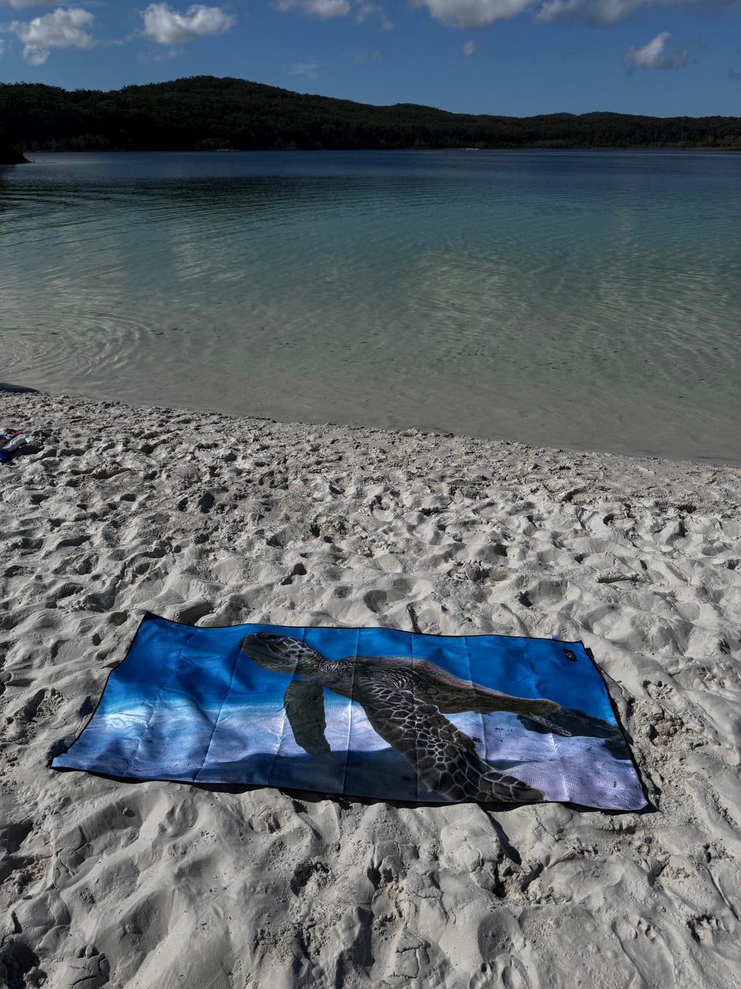 Customer photo review of Turtle