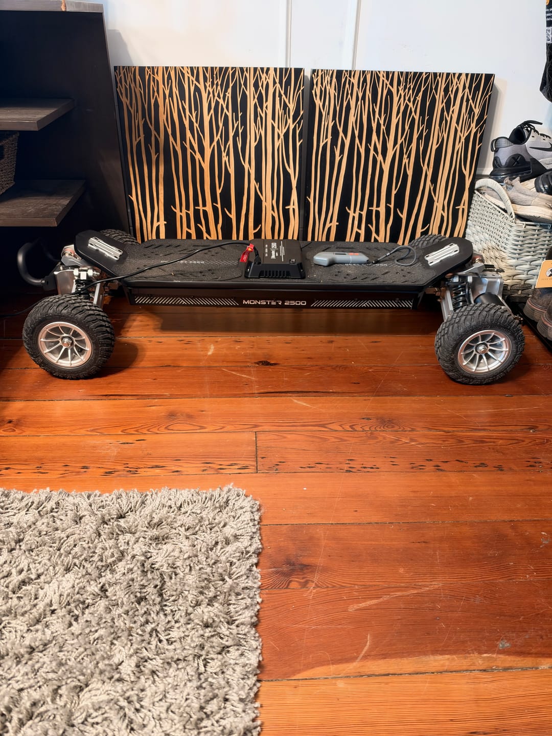 Customer photo review of Meepo Monster 2500 （Pre-order)