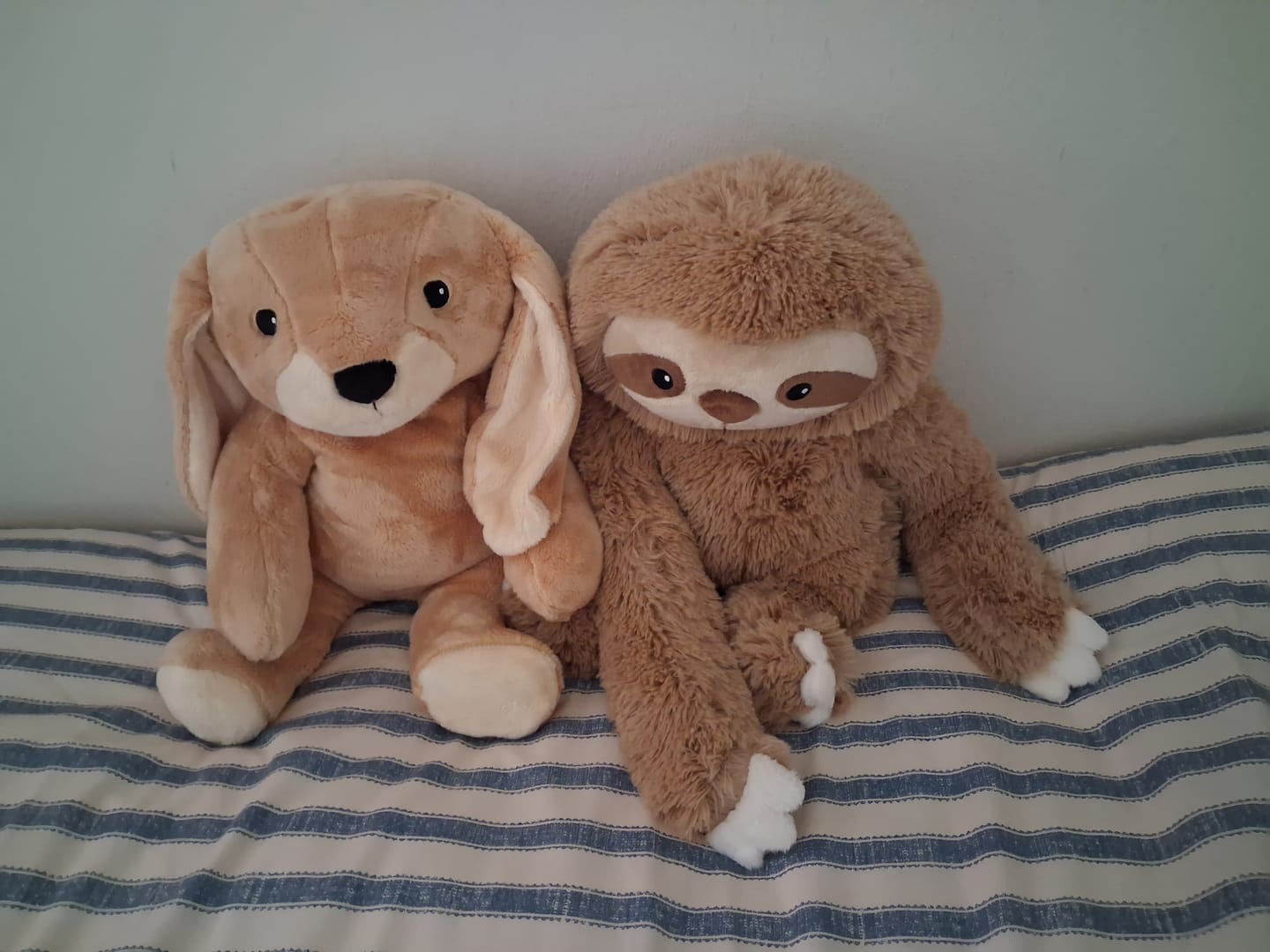 Customer photo review of Lotgenootje Luiaard 2,5kg