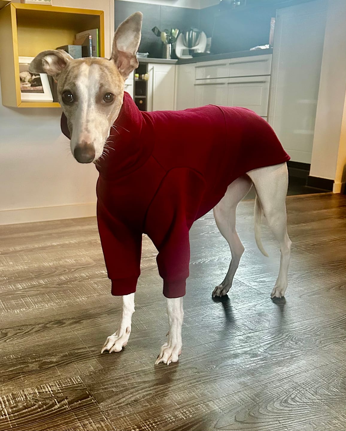 Customer photo review of Aspen "Bordeaux"