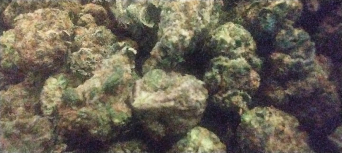 Customer photo review of Black Cherry Gelato Smalls - THCA Flower