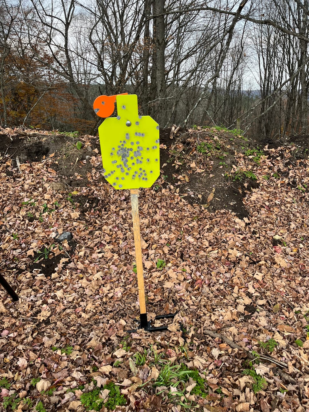 Customer photo review of Double T-Shaped Base Stand + 2X4 Target Hanger + 3/8" Thick 12" X 20" Hostage Target