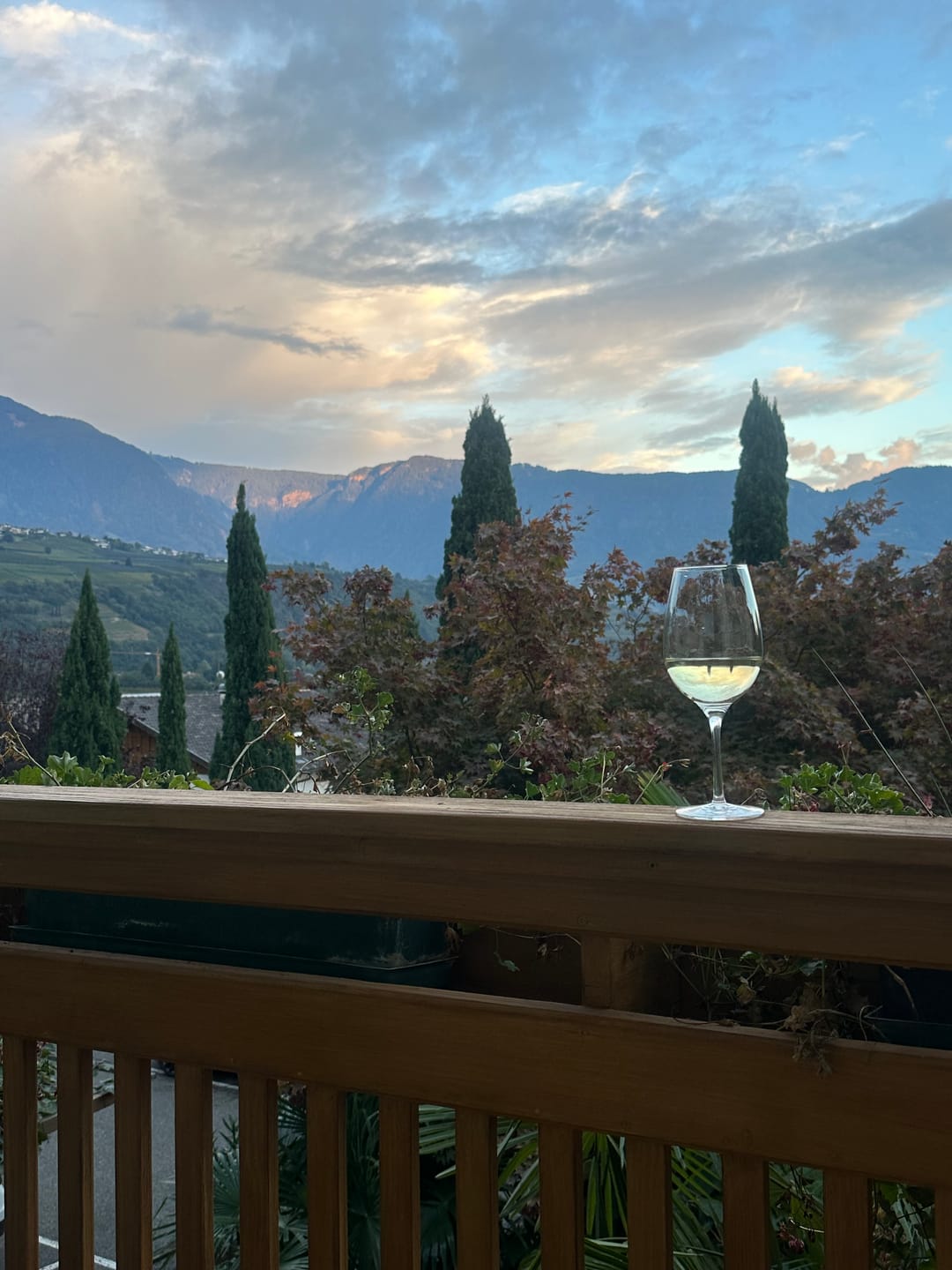 Customer photo review of Pinot Grigio Festival DOC 2025 - Kellerei Meran