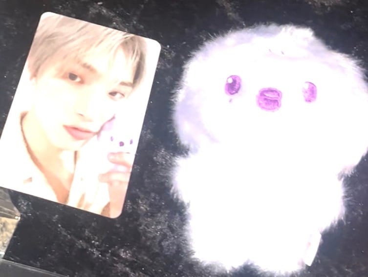 Customer photo review of [ANITEEZ IN COLOR] Color Tiny Aniteez Doll