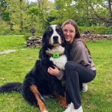 Customer photo review of OptimaPets - 12 Meses de Protección Antipulgas y Garrapatas 100% Natural para Perros