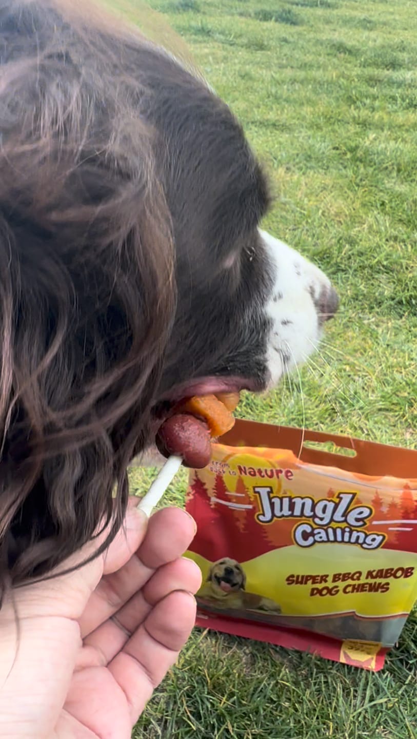 Customer photo review of Jungle Calling Dog Treats Variety Pack, Triple Flavor Rolls & Multi-Flavor Kabobs, 2-Item Bundle, 21.2oz