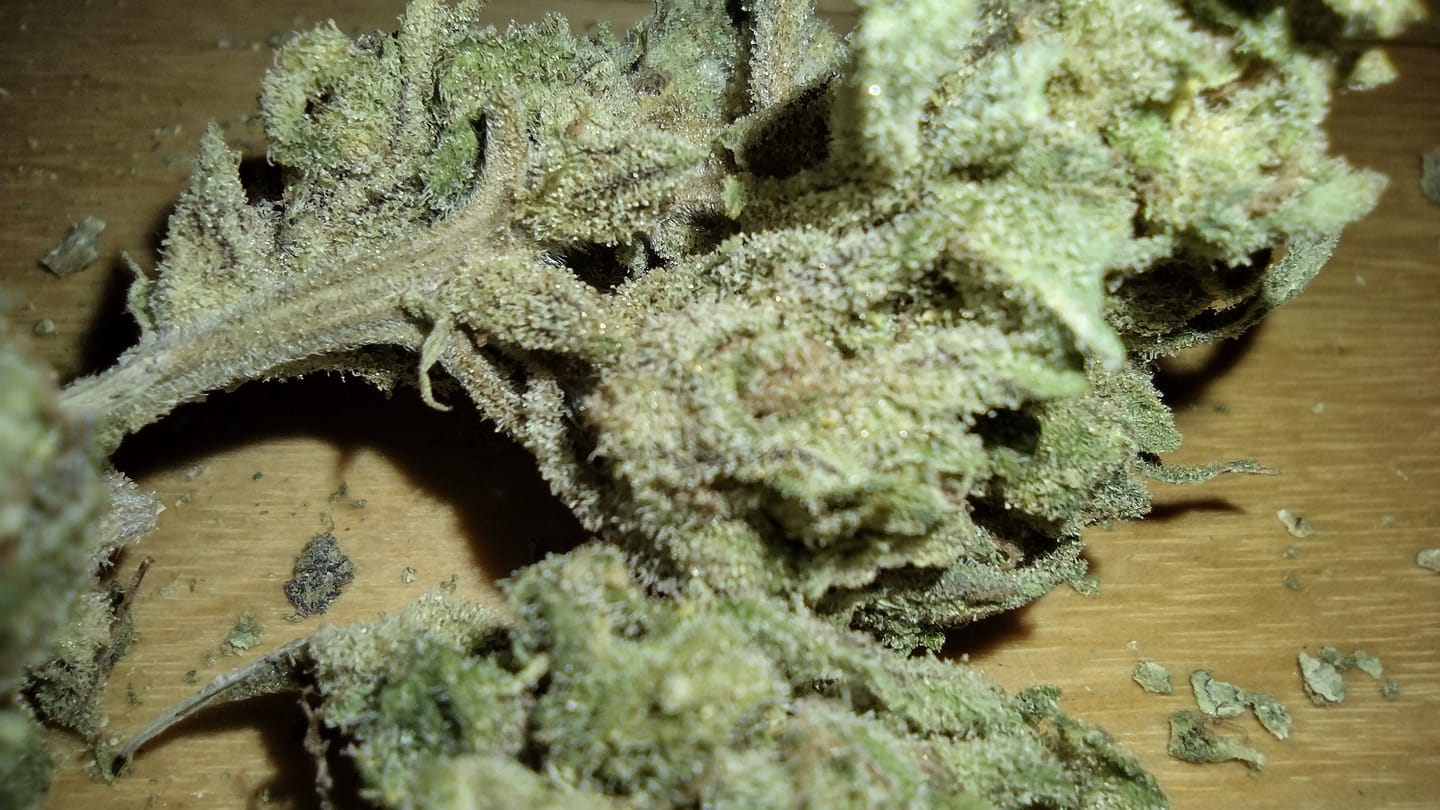 Customer photo review of THCA Queen