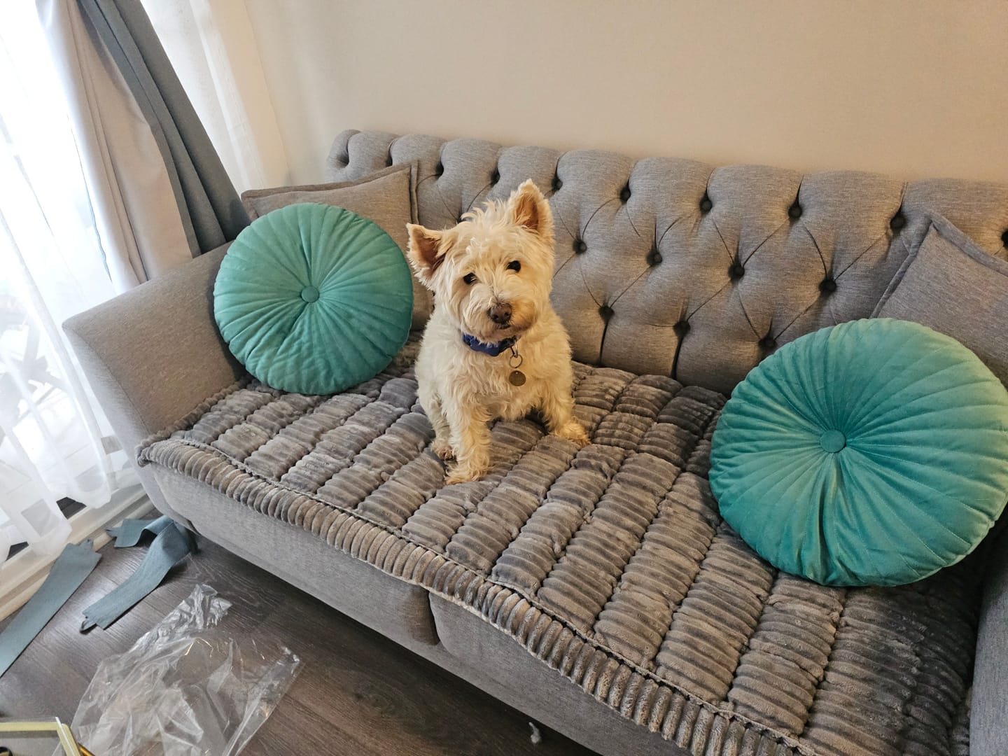 Customer photo review of Majestuoso · Protector Premium para Sofá
