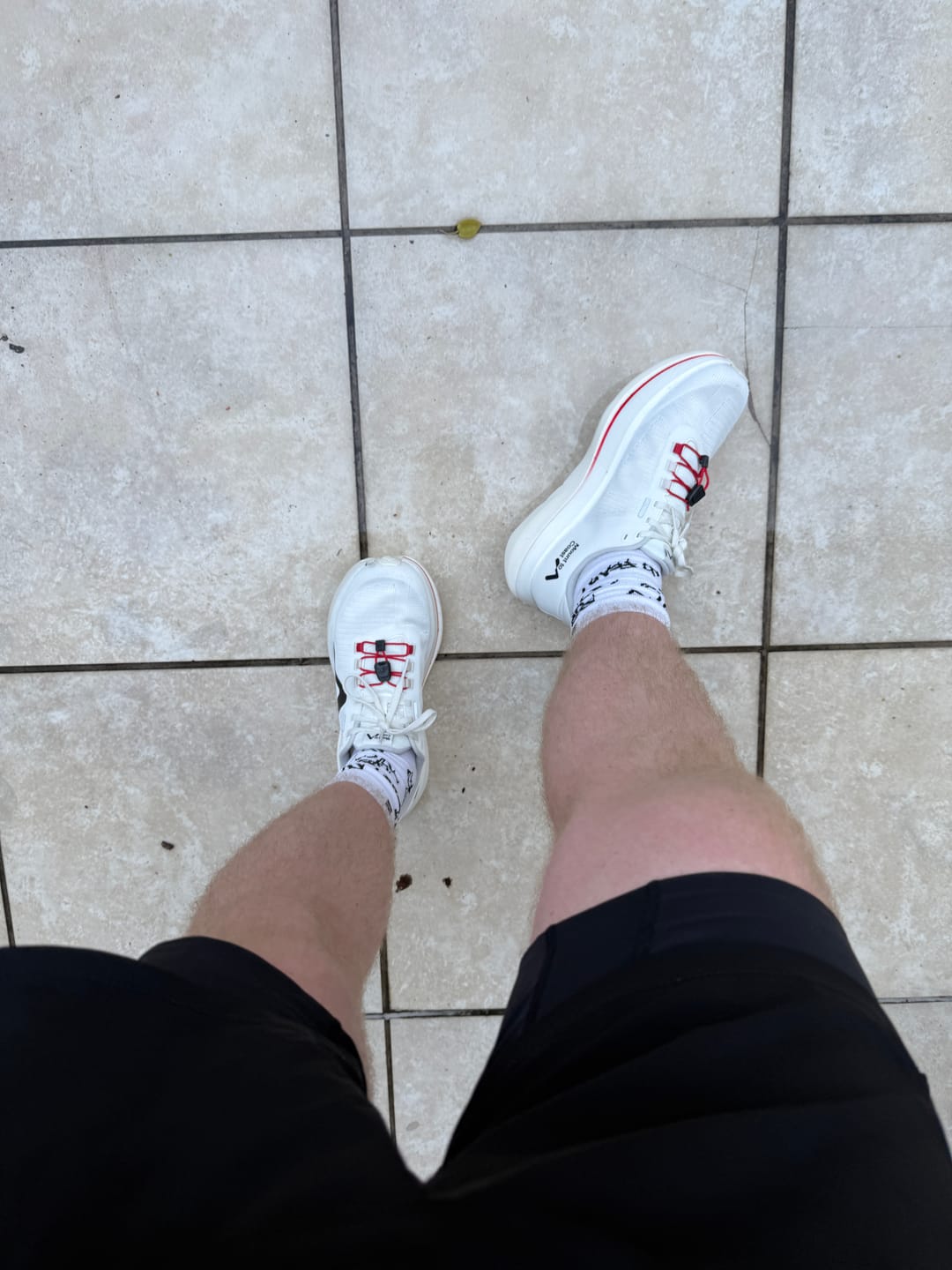 Customer photo review of Mount To Coast C1