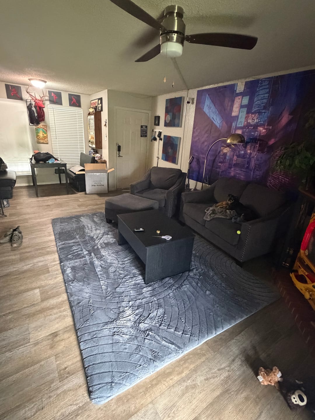 Customer photo review of Designer Relax Mat - 1.4" Thick Foam Base