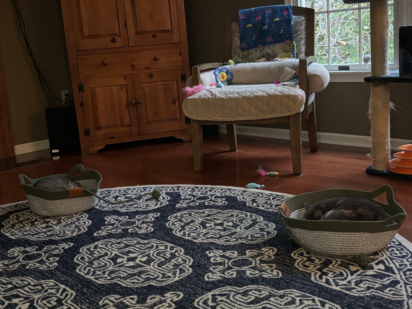 Customer photo review of Instinct Basket | Meet the first research-backed natural territory for indoor cats