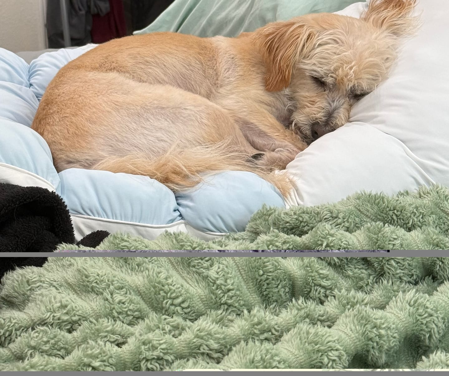 Customer photo review of Puff Pillow
