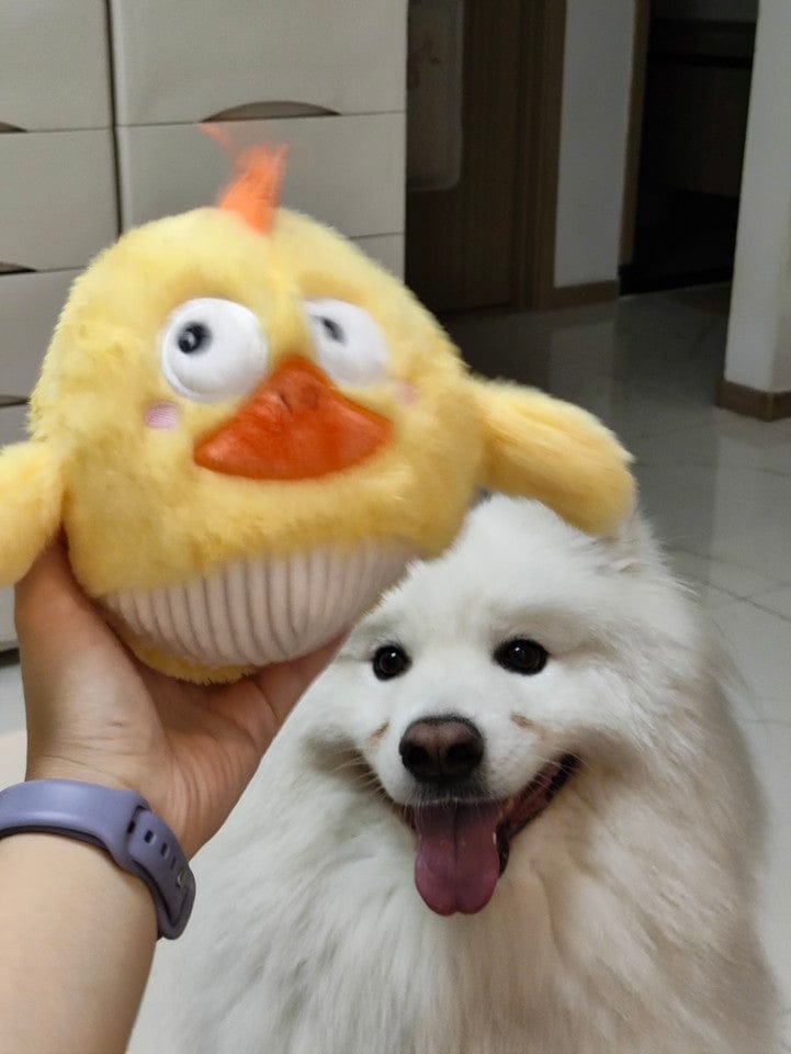 Customer photo review of Side-Eye Chick
