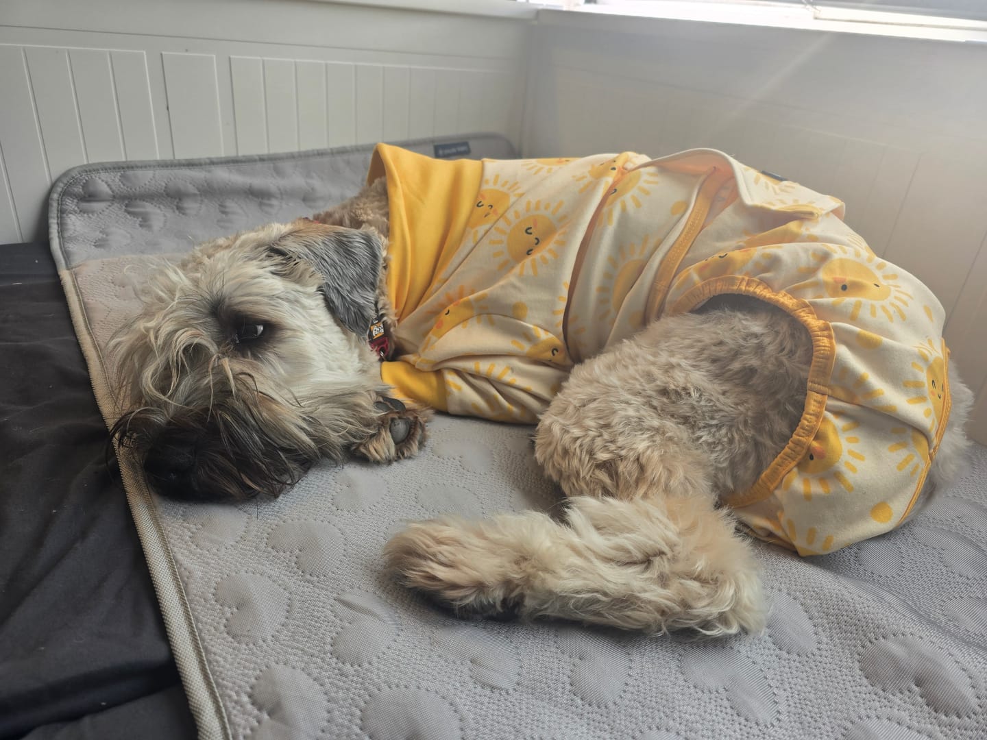 Customer photo review of Frostcore™ Cooling Mat - Hearts Grey