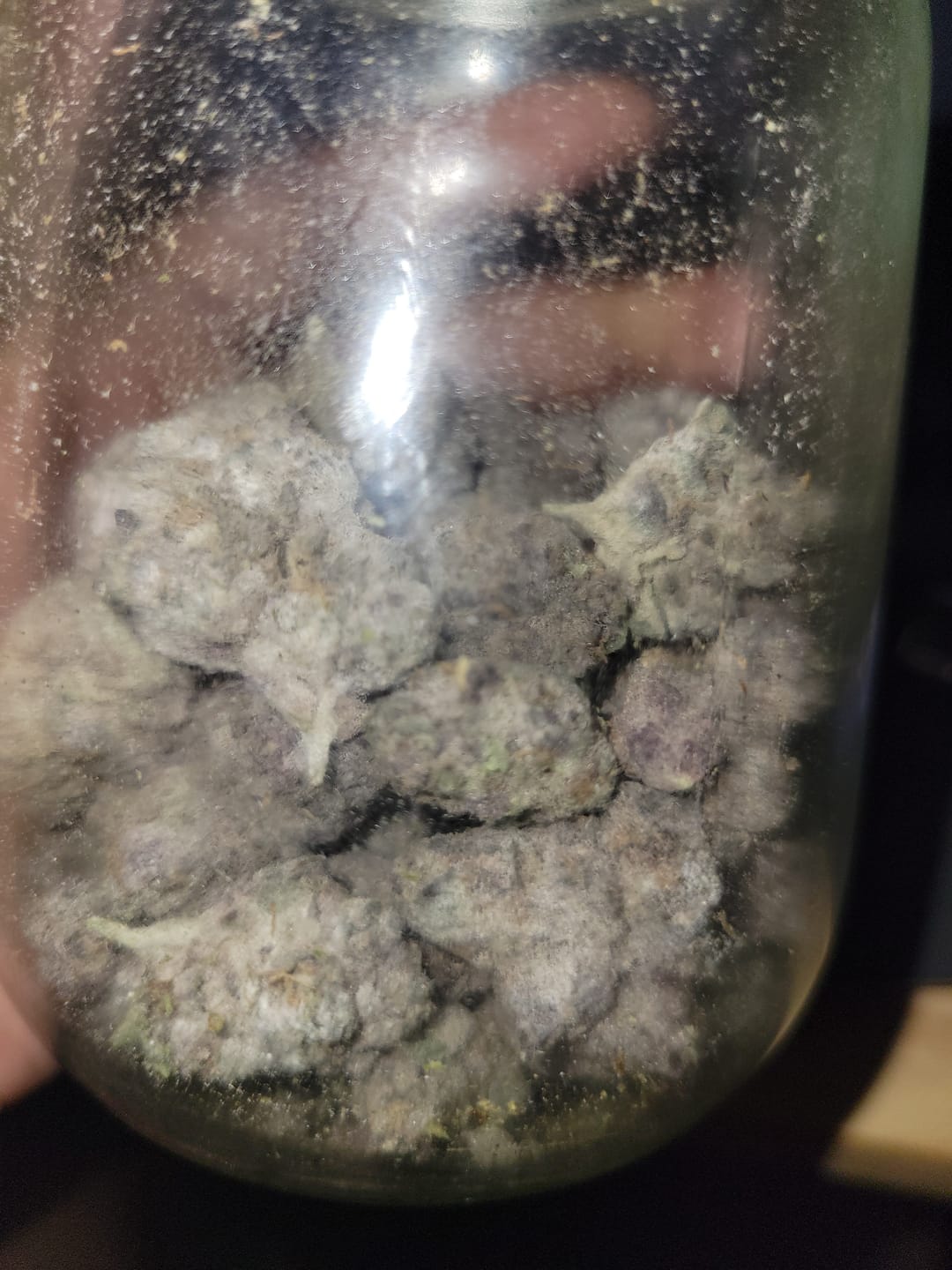 Customer photo review of Cheap Indoor THCA Flower Ounce