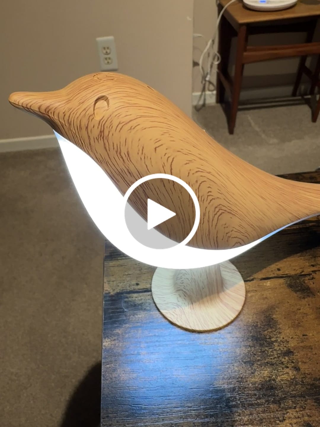 Customer video review of Glow Bird