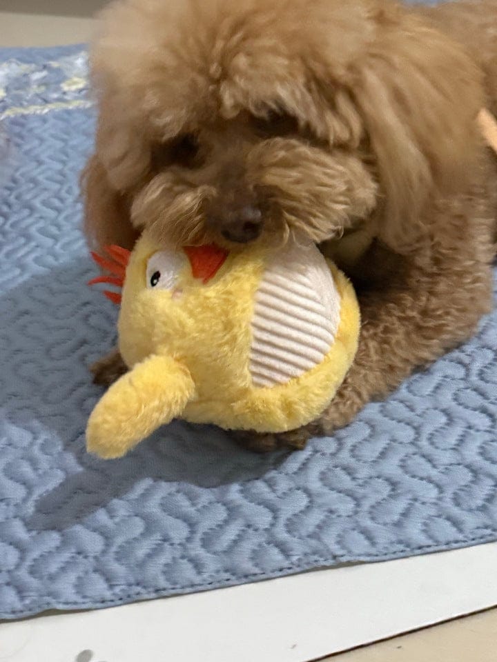 Customer photo review of Side-Eye Chick