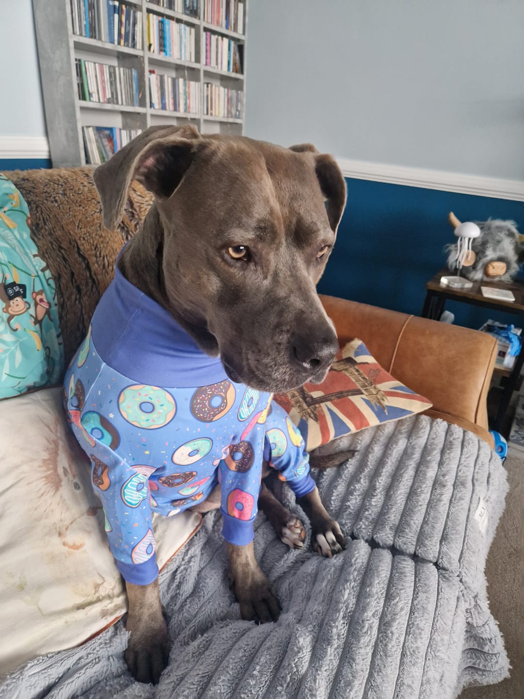 Customer photo review of Dog Pajama - Donuts