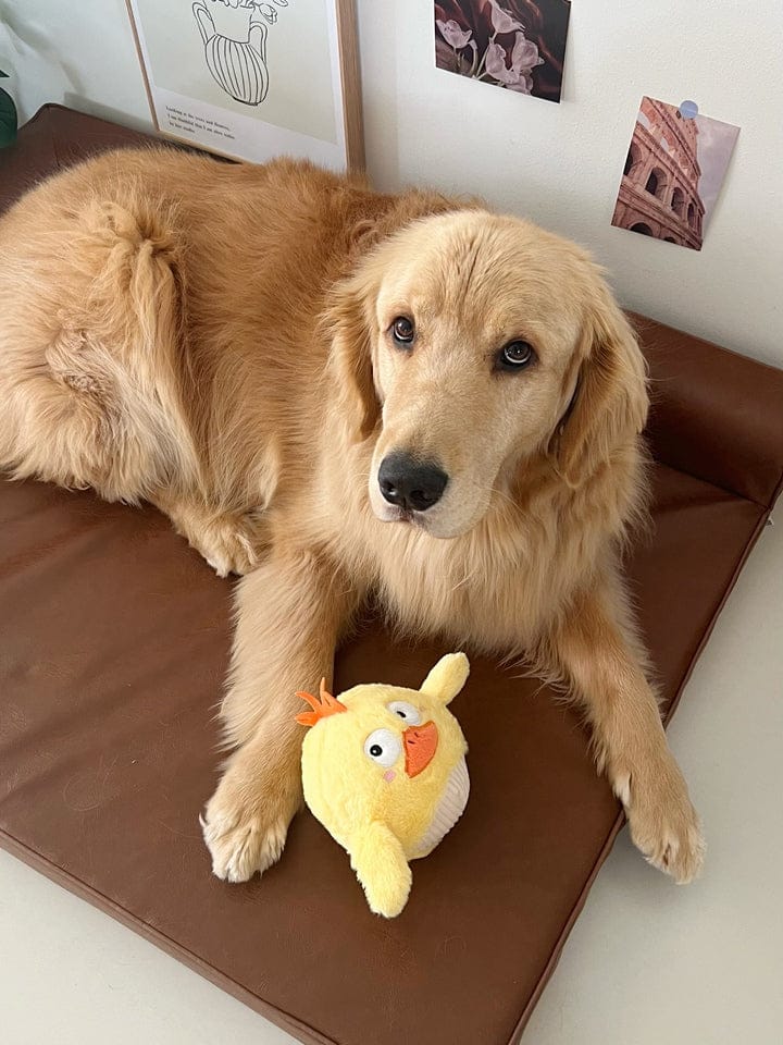Customer photo review of Side-Eye Chick