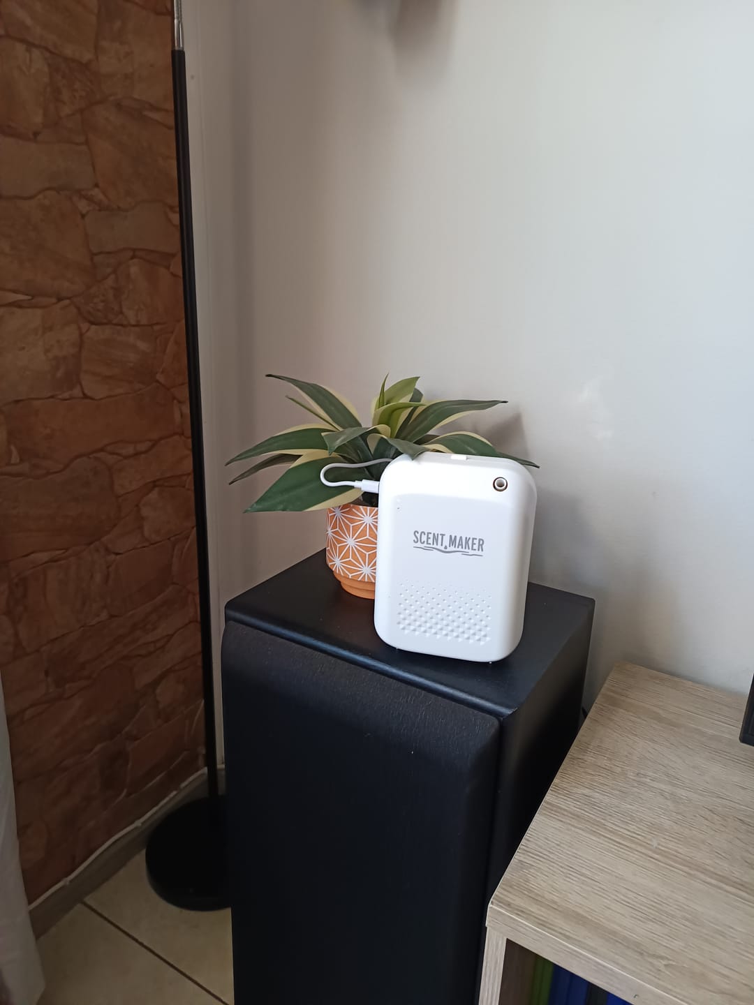 Customer photo review of Pack Esencia Luxury Dubai 120ml + Nebulizadora Sani-Air S