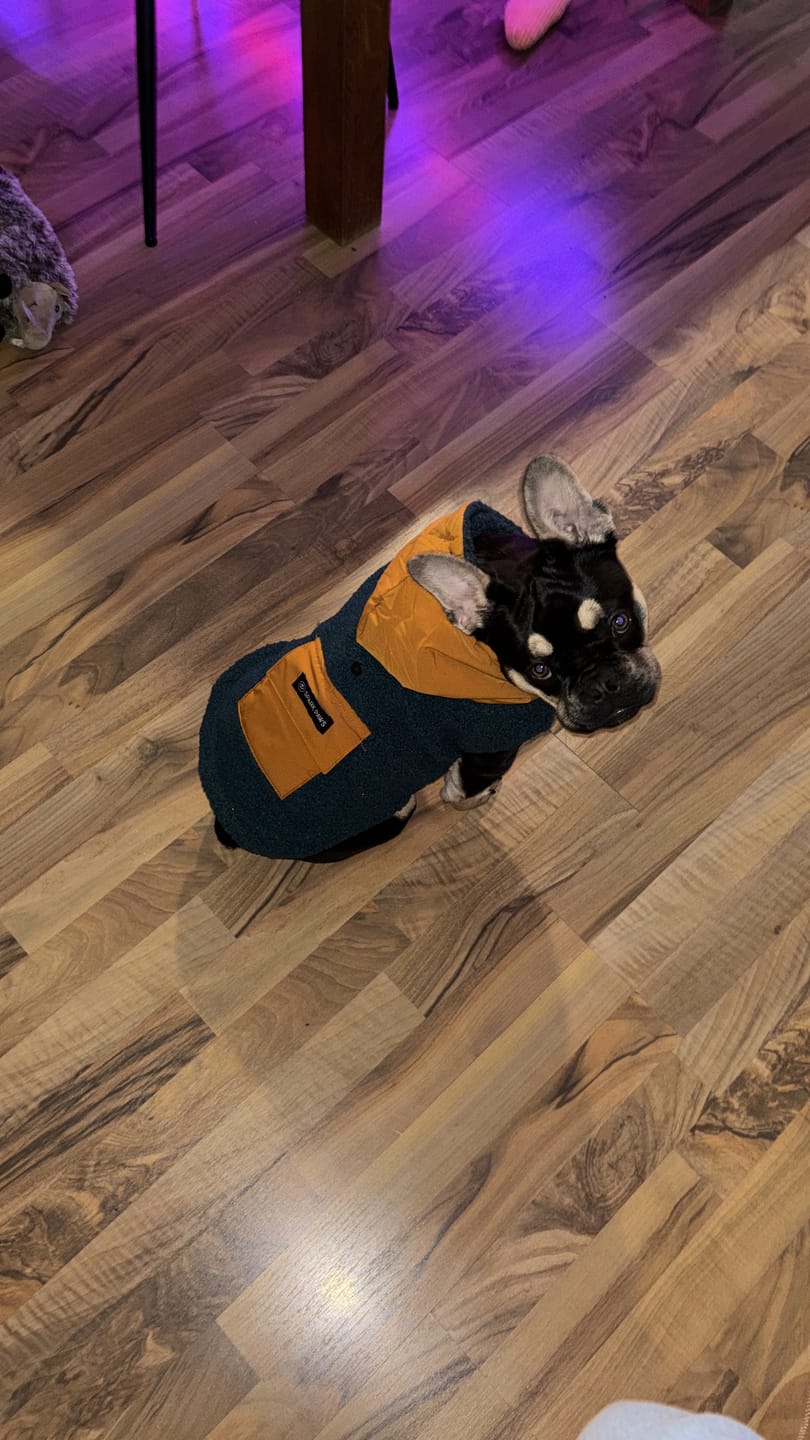 Customer photo review of Reversible Sherpa Jackets