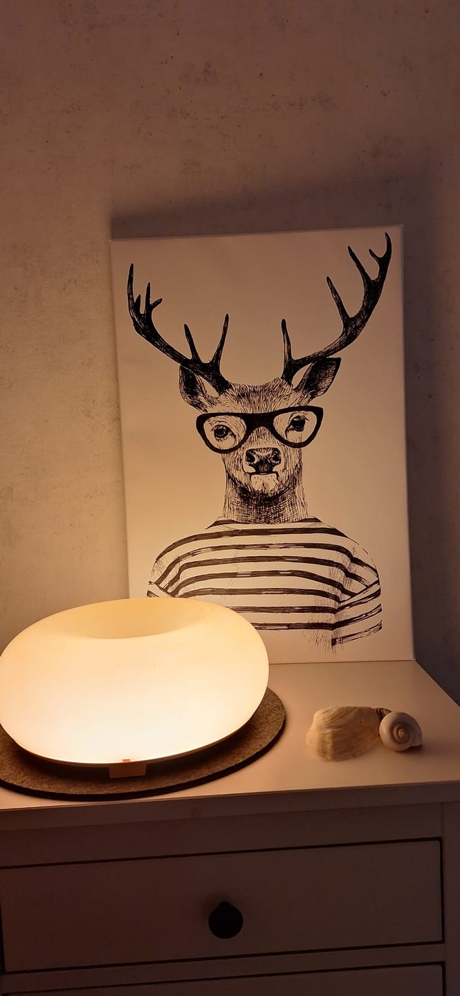 Customer photo review of Leinwandbild Hirsch mit Brille Hochformat
