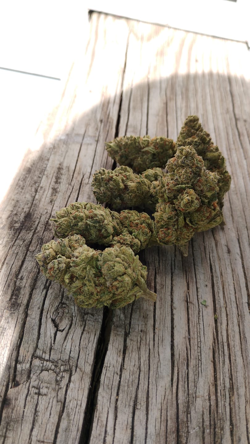 Customer photo review of Cheap THCA Flower Half Pound
