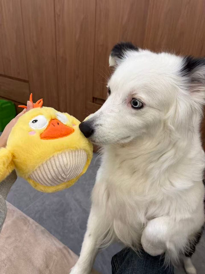 Customer photo review of Side-Eye Chick