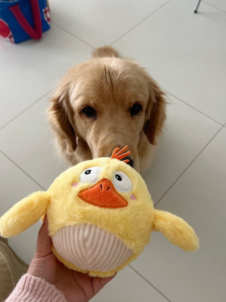 Customer photo review of Side-Eye Chick