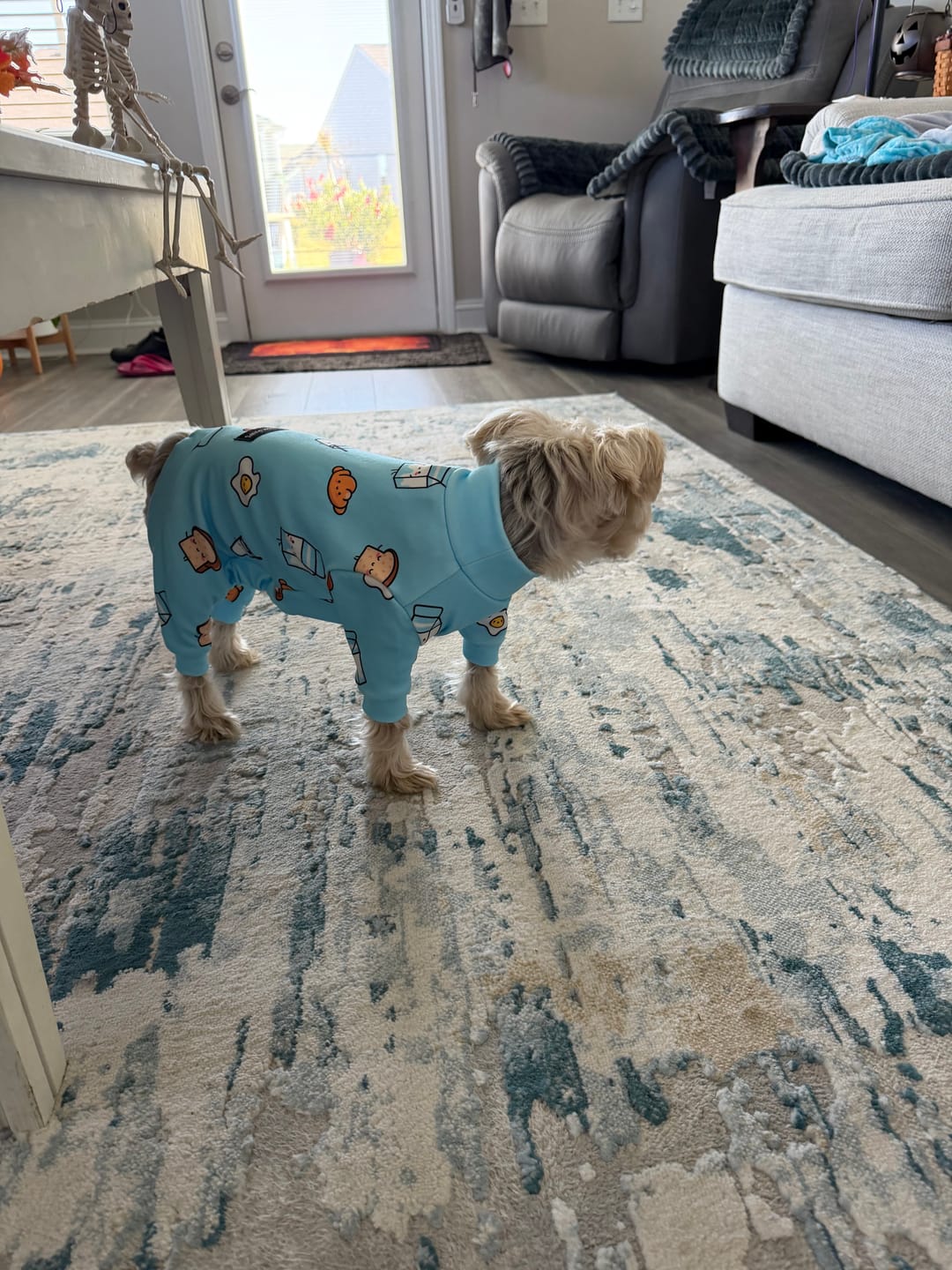 Customer photo review of Dog Pajama - Breakfast Blue
