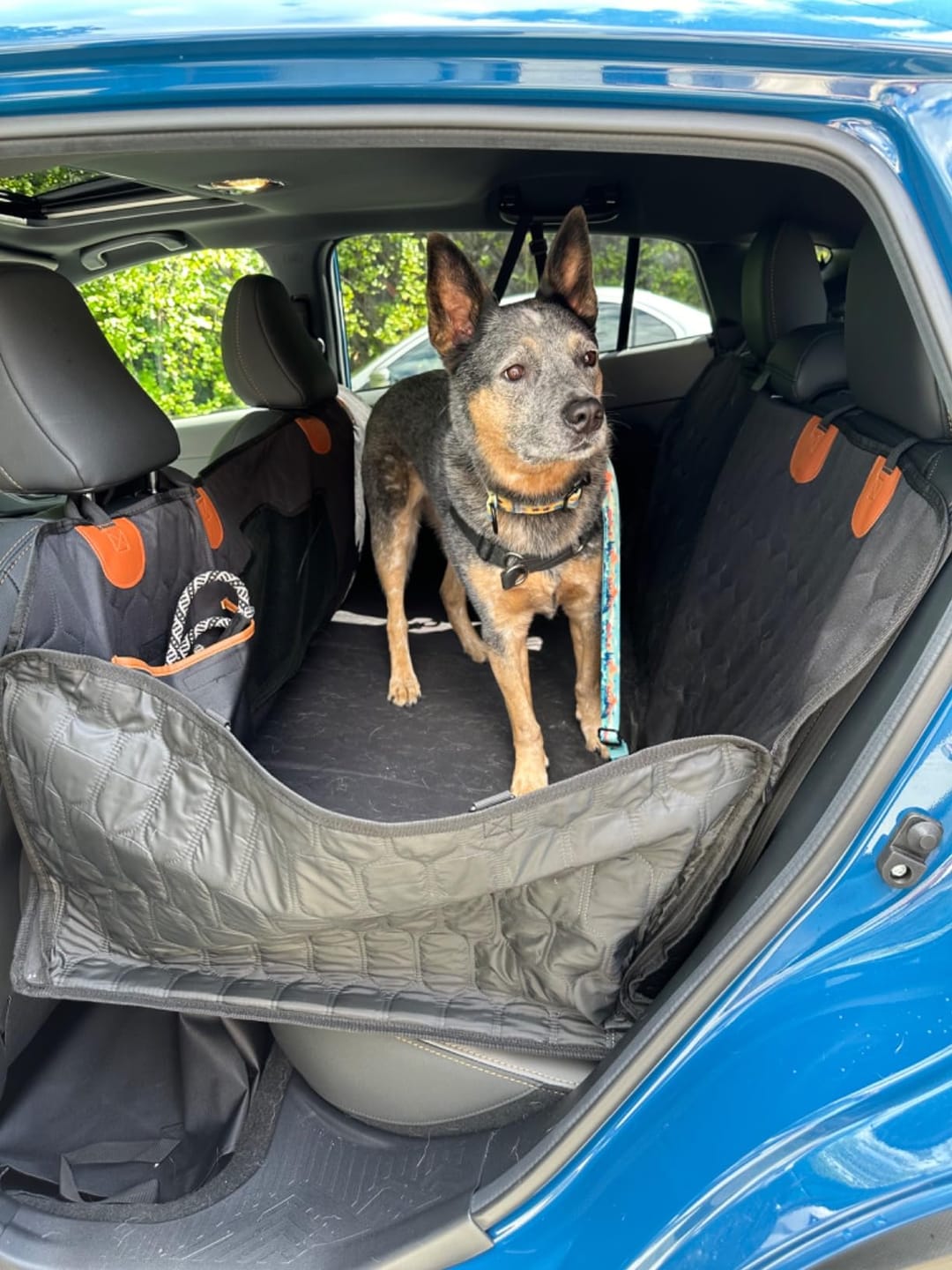 Customer photo review of Car Seat Cover & Back Seat Extender (Hard Bottom) for Dogs